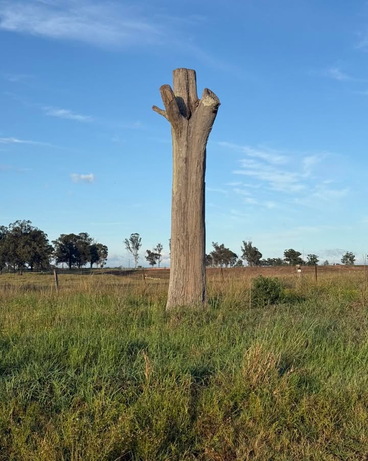 Featured image for “Blue Tree Project: Raising Mental Health Awareness at Twin Creeks Golf”